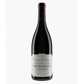 Bourgogne, cuvée Etienne Camuzet 2020, domaine Méo Camuzet